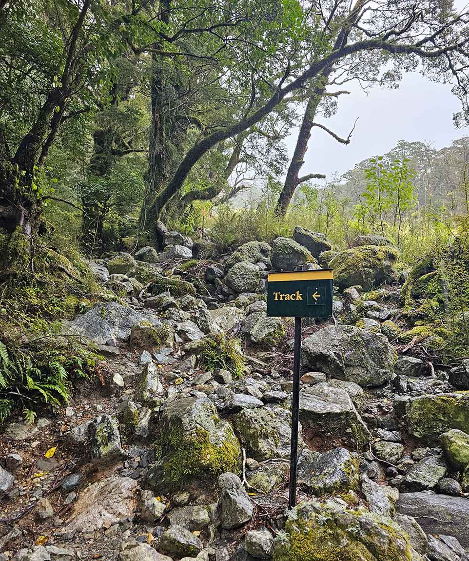 Marlene's Creek Milford Track