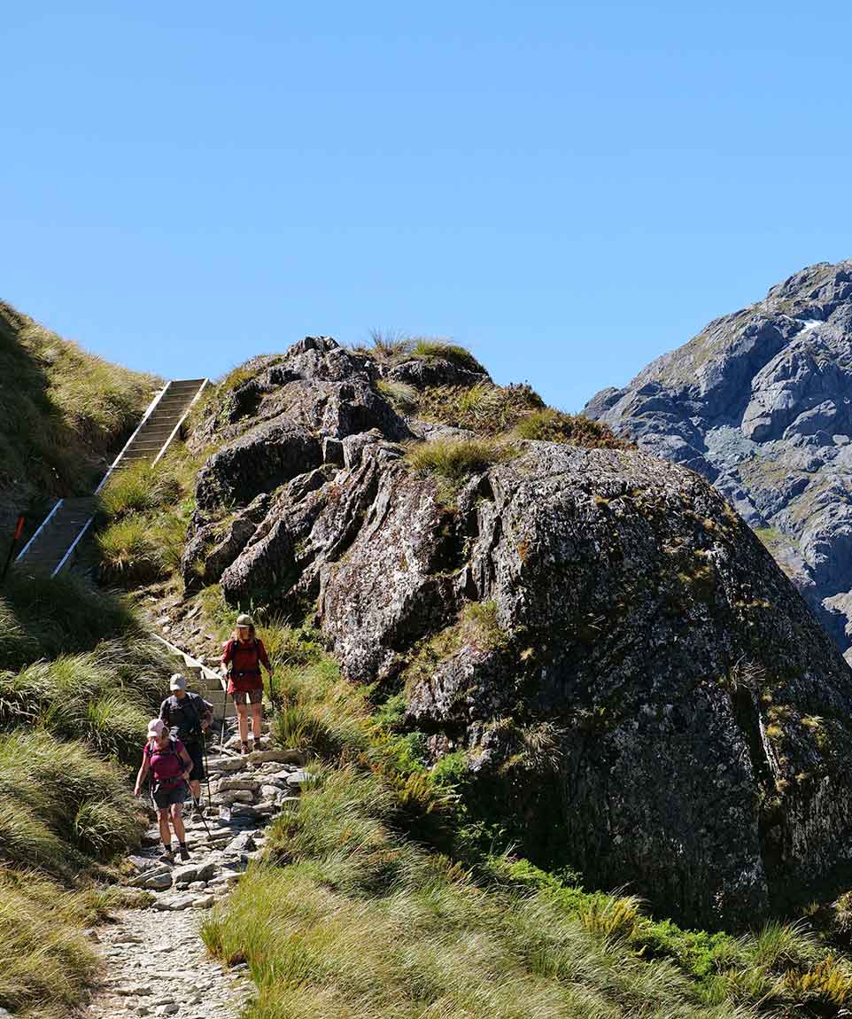 Harris Saddle Routeburn Track