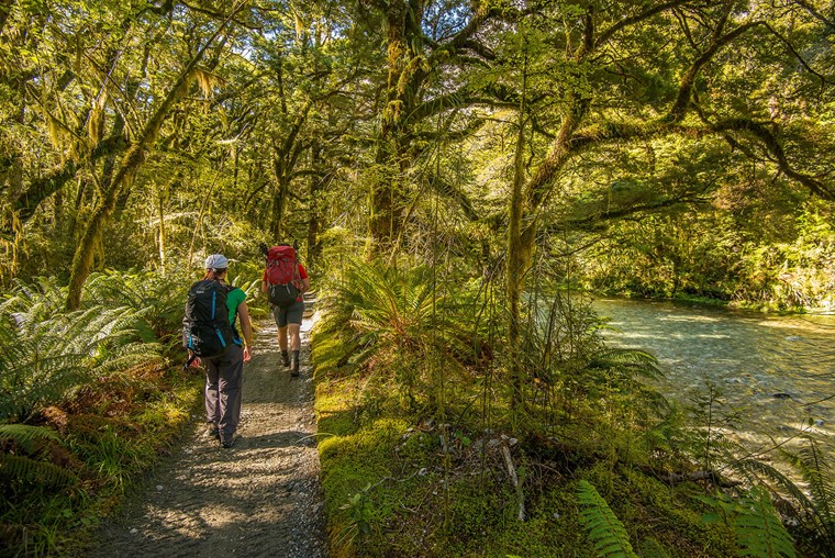 Hiking beside the Clinton River on the Milford Track
