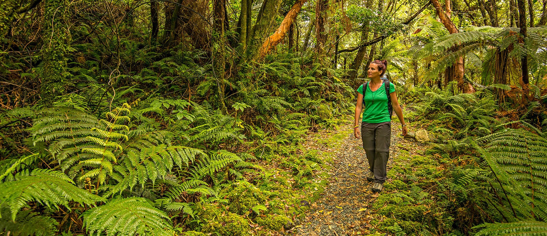 walker on the Milford Track guided walk