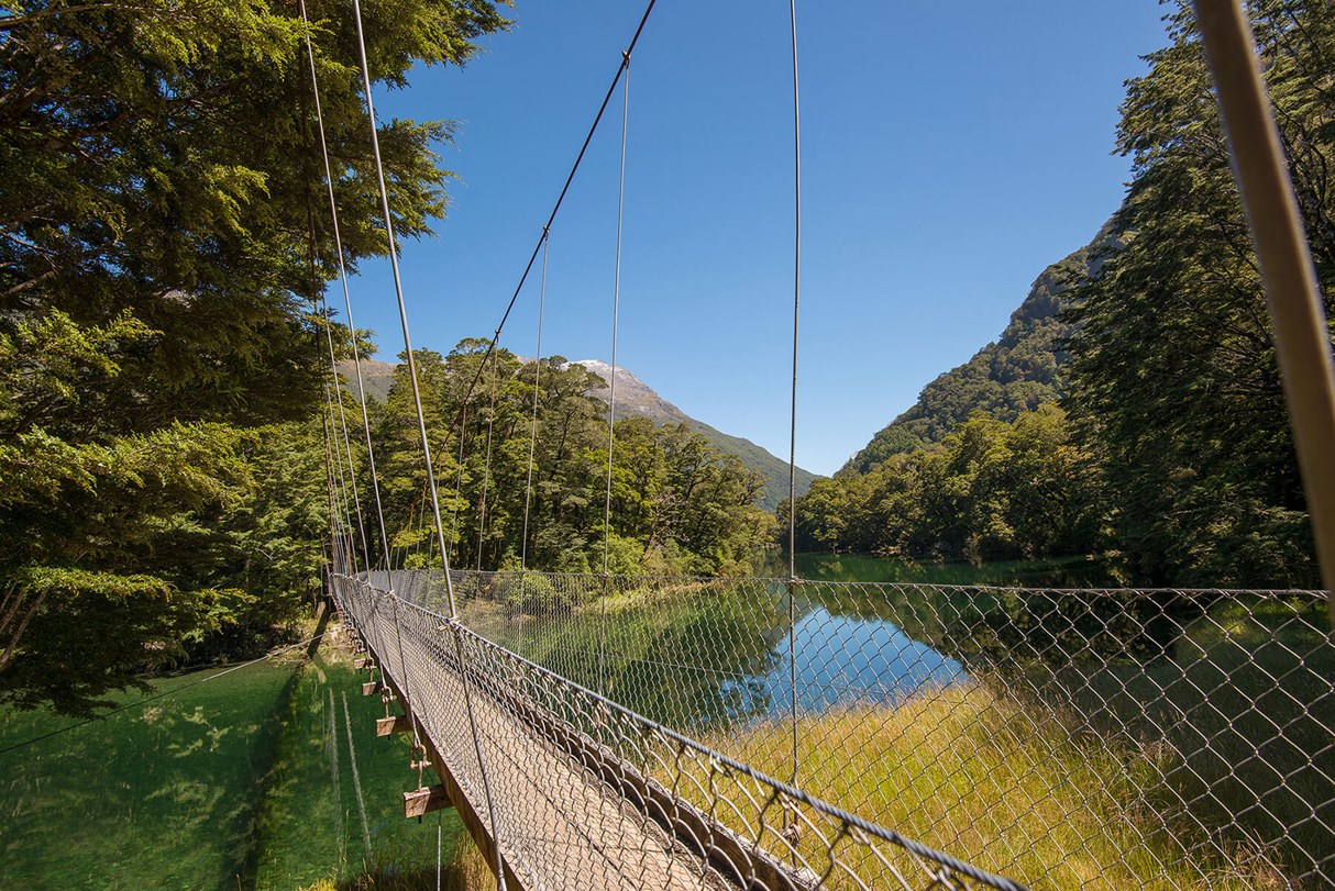 Bridge crossing the Clinton River - Milford Track guided walk