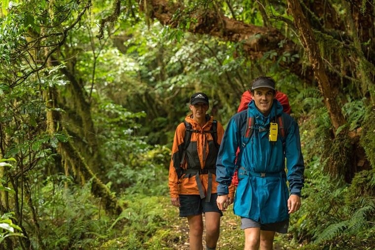 Guide and walker on the Milford Track guided walk