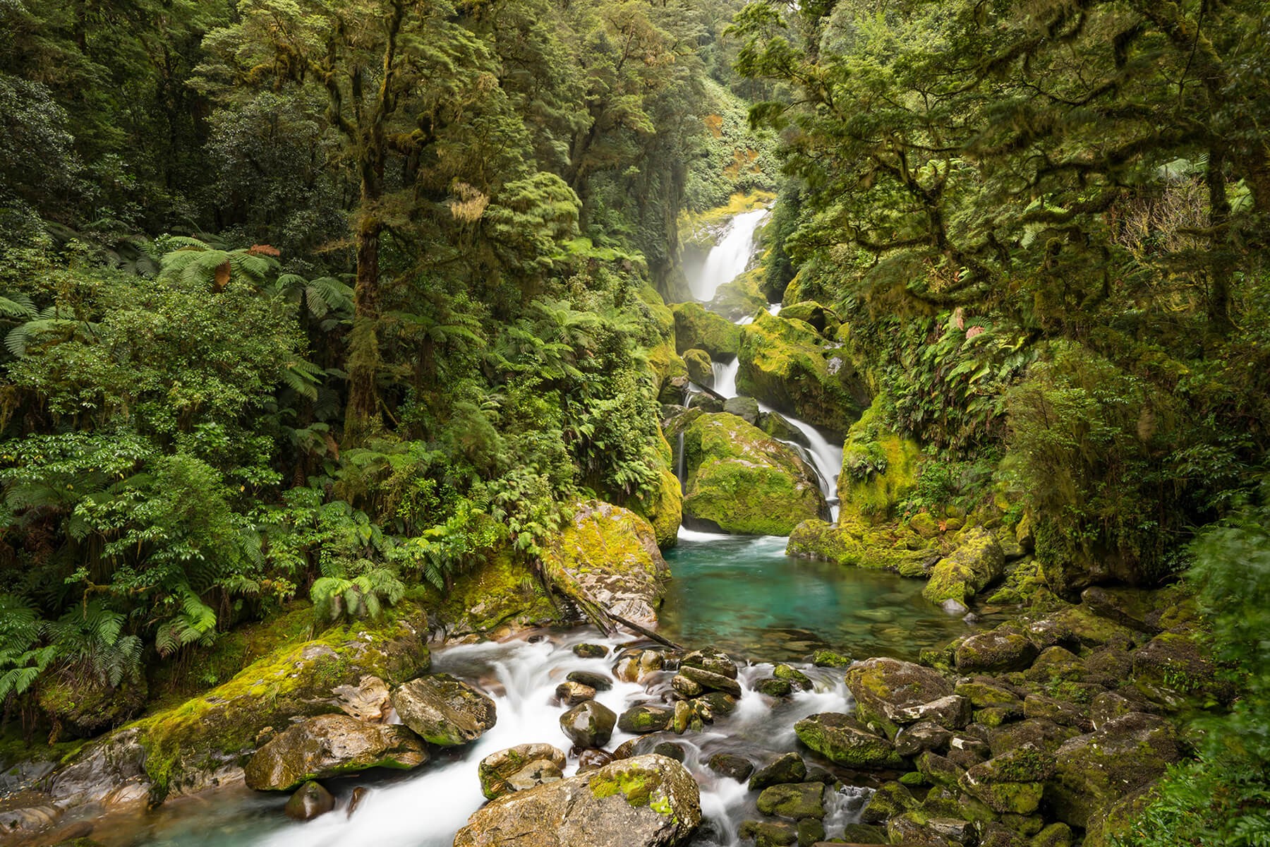 Mackay Falls on the Milford Track guided walk