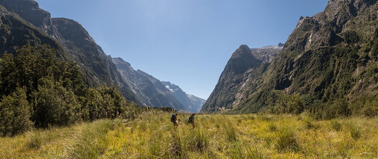 Crossing the Prairie before Pompolona Lodge on the Milford Track guided walk