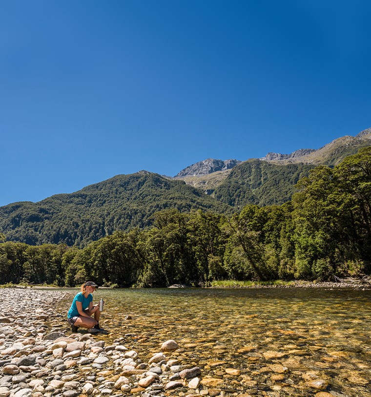 fresh water everywhere on the on the Milford Track guided walk